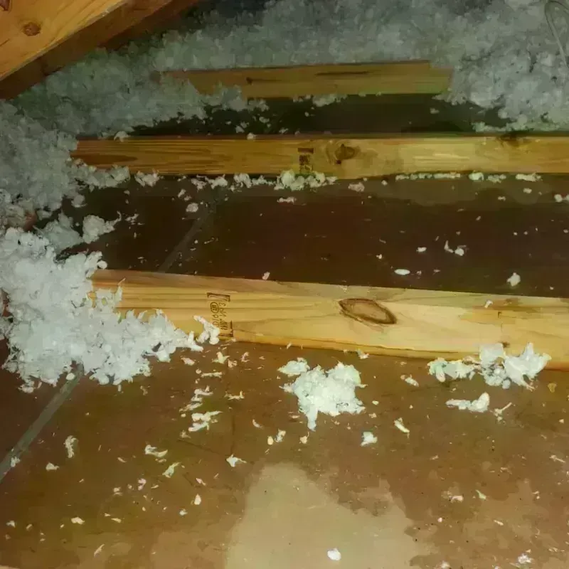 Attic Water Damage in Covelo, CA